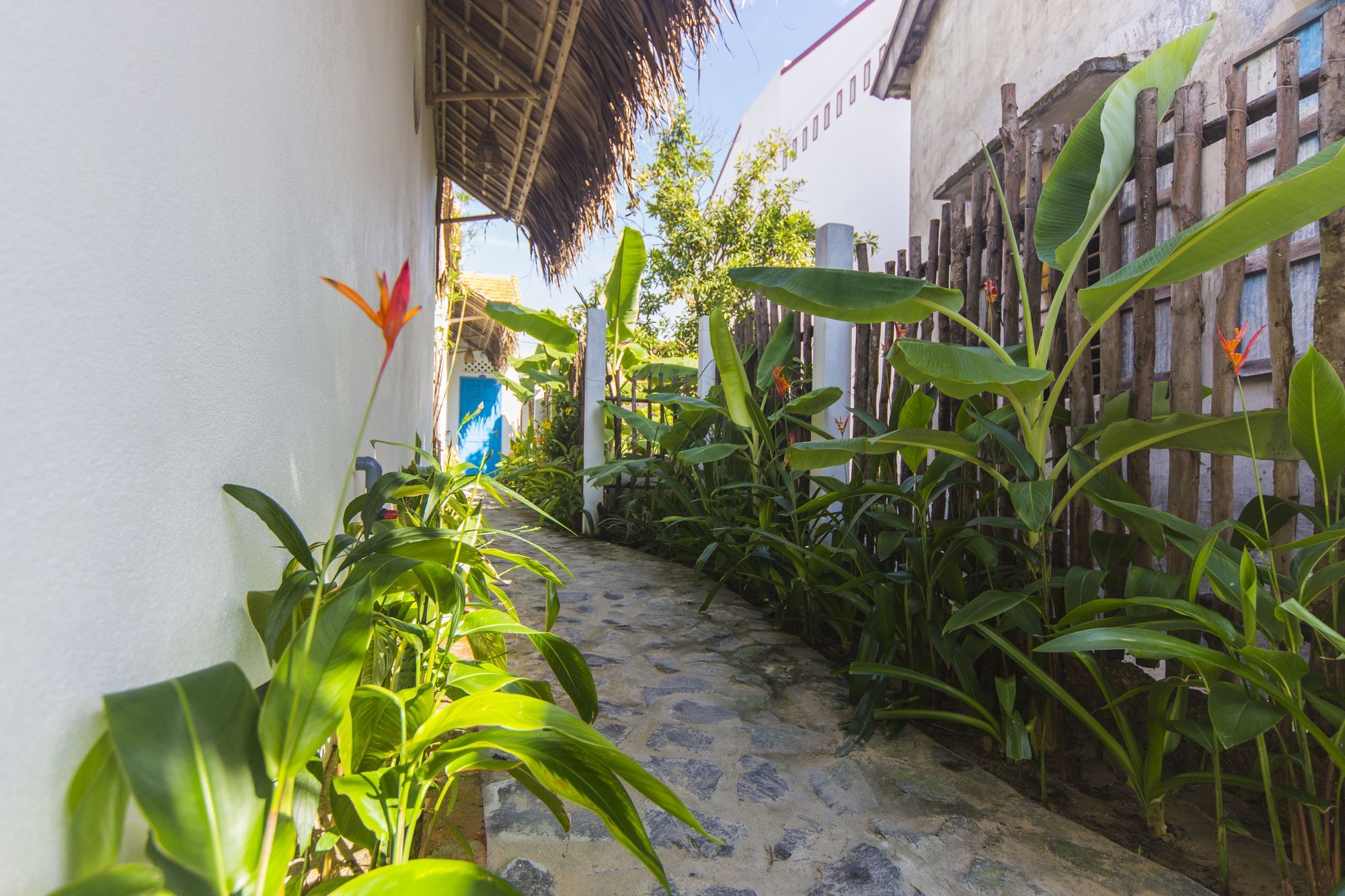 Cashew Tree Bungalow Hoi An Exterior foto