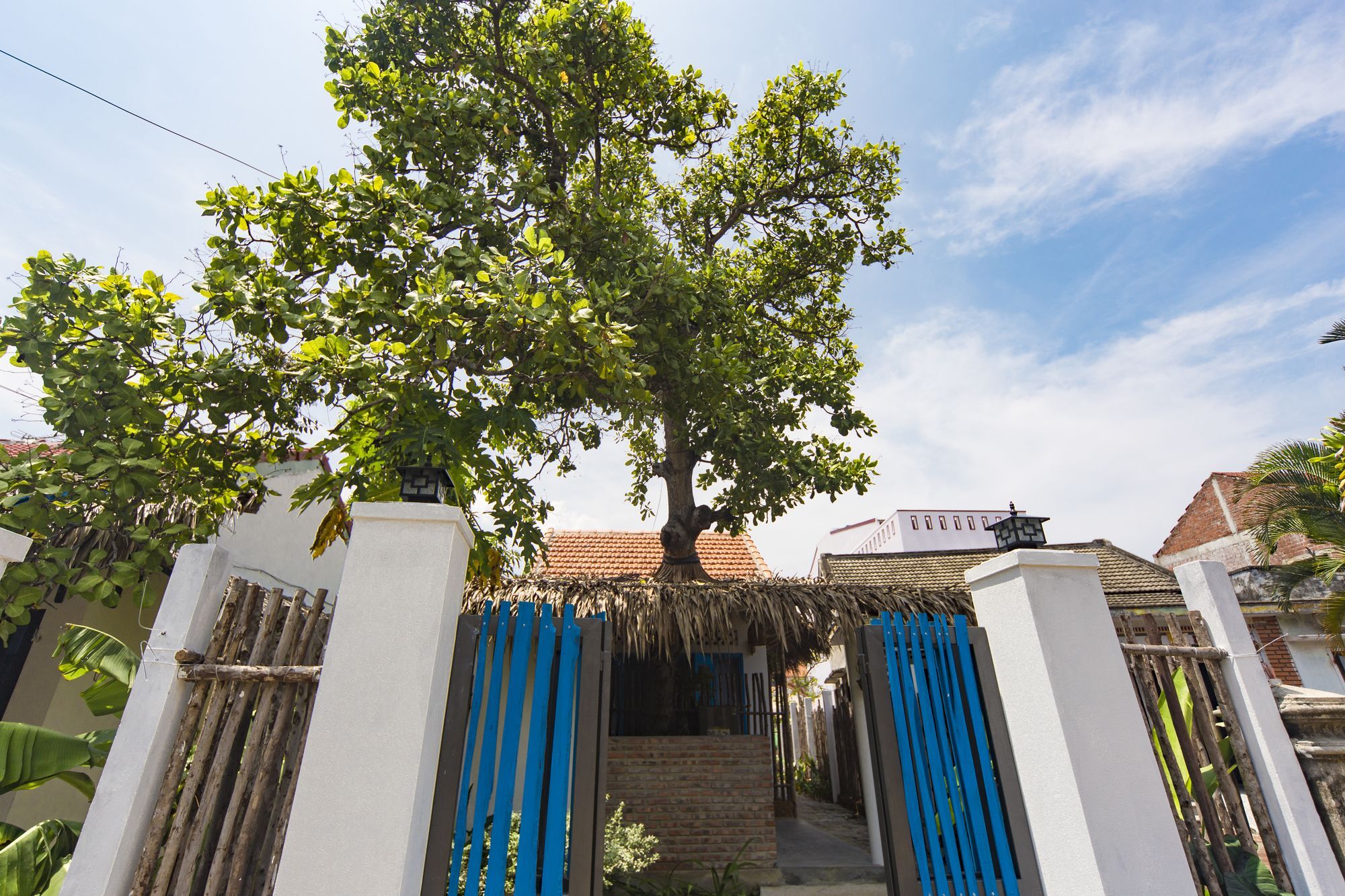 Cashew Tree Bungalow Hoi An Exterior foto